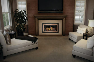 Napoleon Inspiration Zero Clearance Direct Vent Gas Fireplace