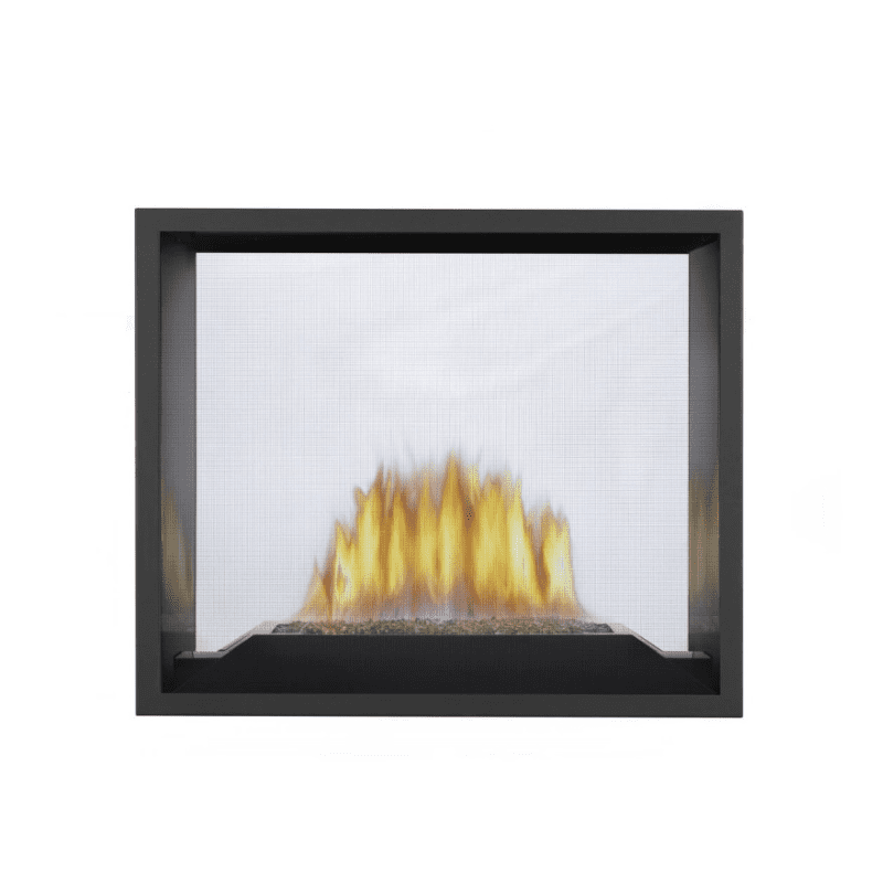 Napoleon High Definition See-Thru Direct Vent Gas Fireplace
