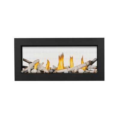 Napoleon Vector See Through Direct Vent Fireplace 1