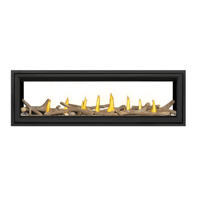 Napoleon Vector See Through Direct Vent Fireplace
