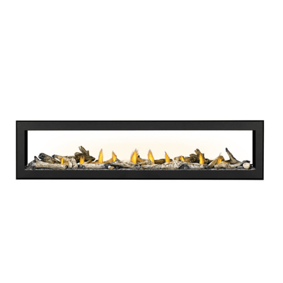 Napoleon Vector See Through Direct Vent Fireplace