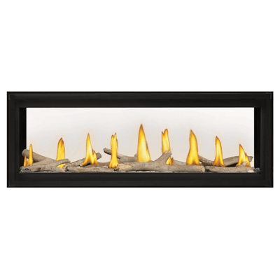 Napoleon Luxuria See Through Direct Vent Fireplace 4
