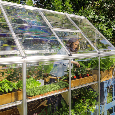 Palram - Canopia Hybrid 6' x 4' Greenhouse