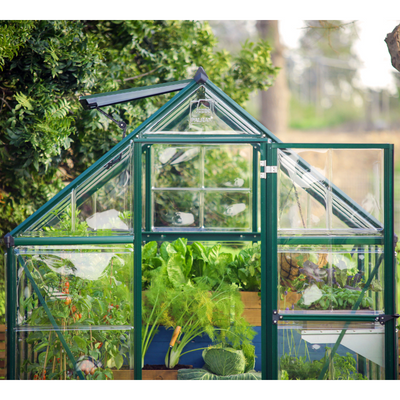 Palram - Canopia Hybrid 6' x 4' Greenhouse