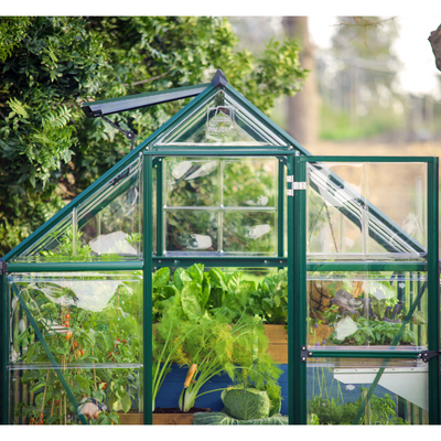 Palram - Canopia Hybrid 6' x 8' Greenhouse