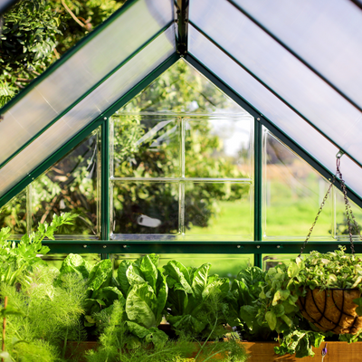Palram - Canopia Hybrid 6' x 10' Greenhouse