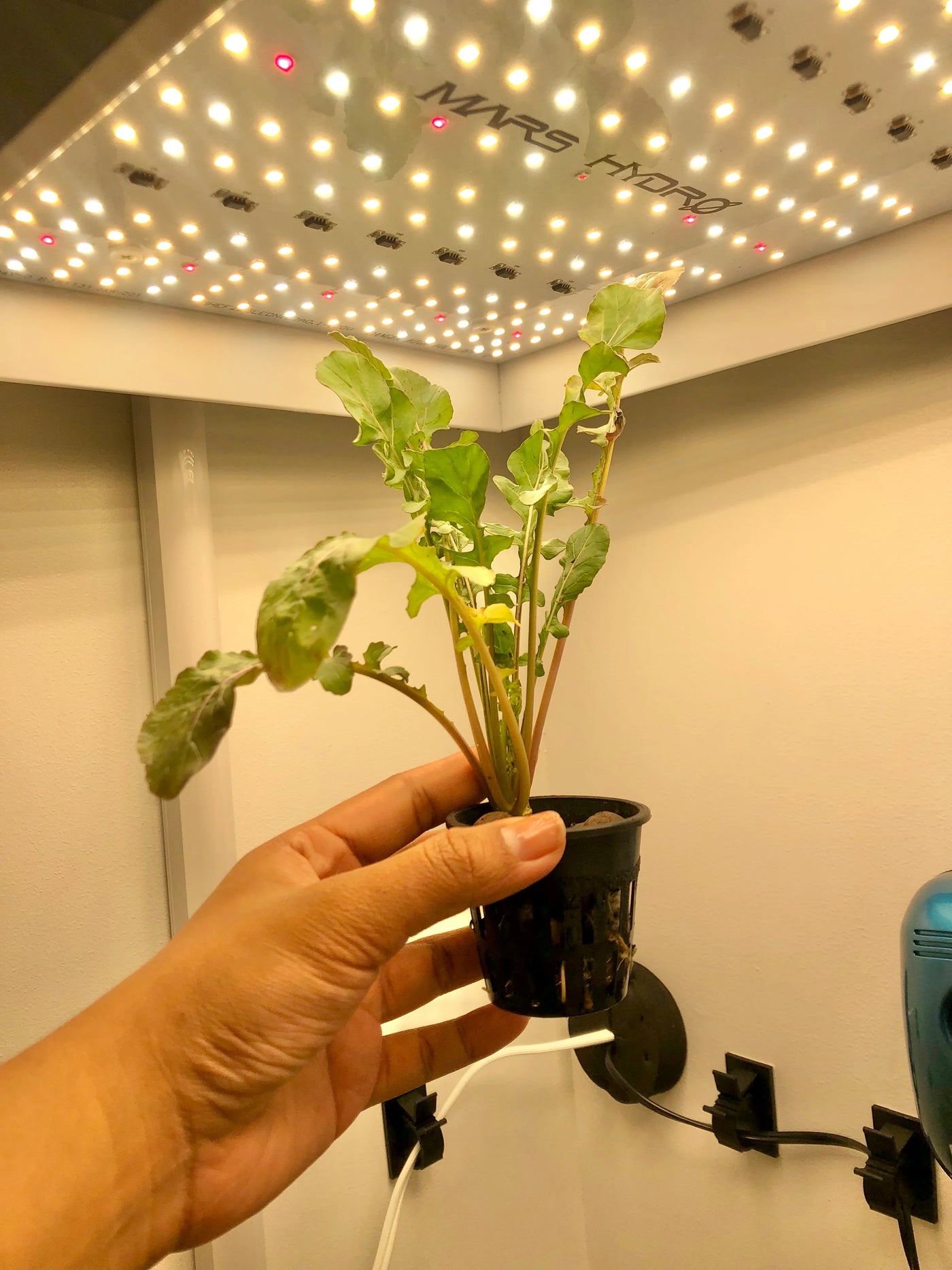 Growzilla 6.0 - 4 Plant LED Hydroponics Grow Box